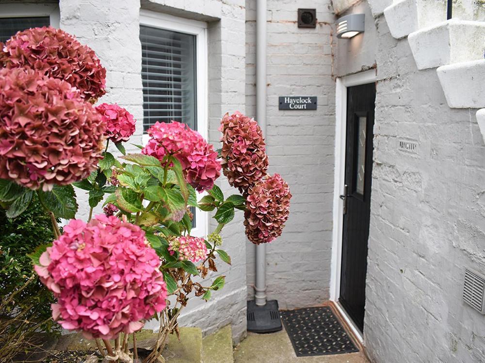 Havelock Court Apartment Whitby Eksteriør billede